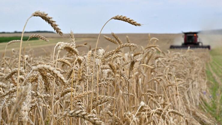 Tahıl fiyatları yeniden yükselişte